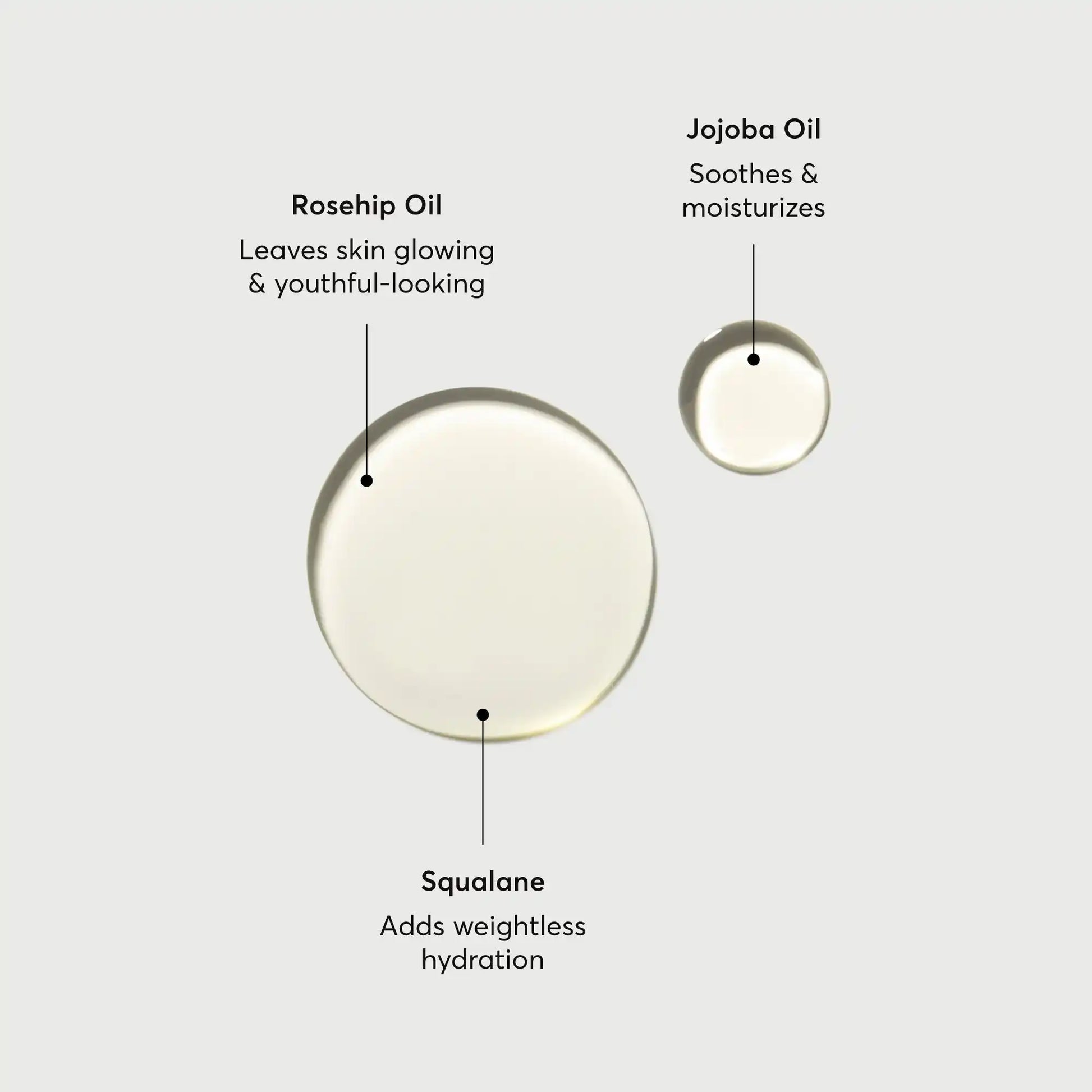 the-glow-getter-body-oil-f0 NATR-10115-Alt-Images-The-Glow-Getter-Body-Oil-01.webp