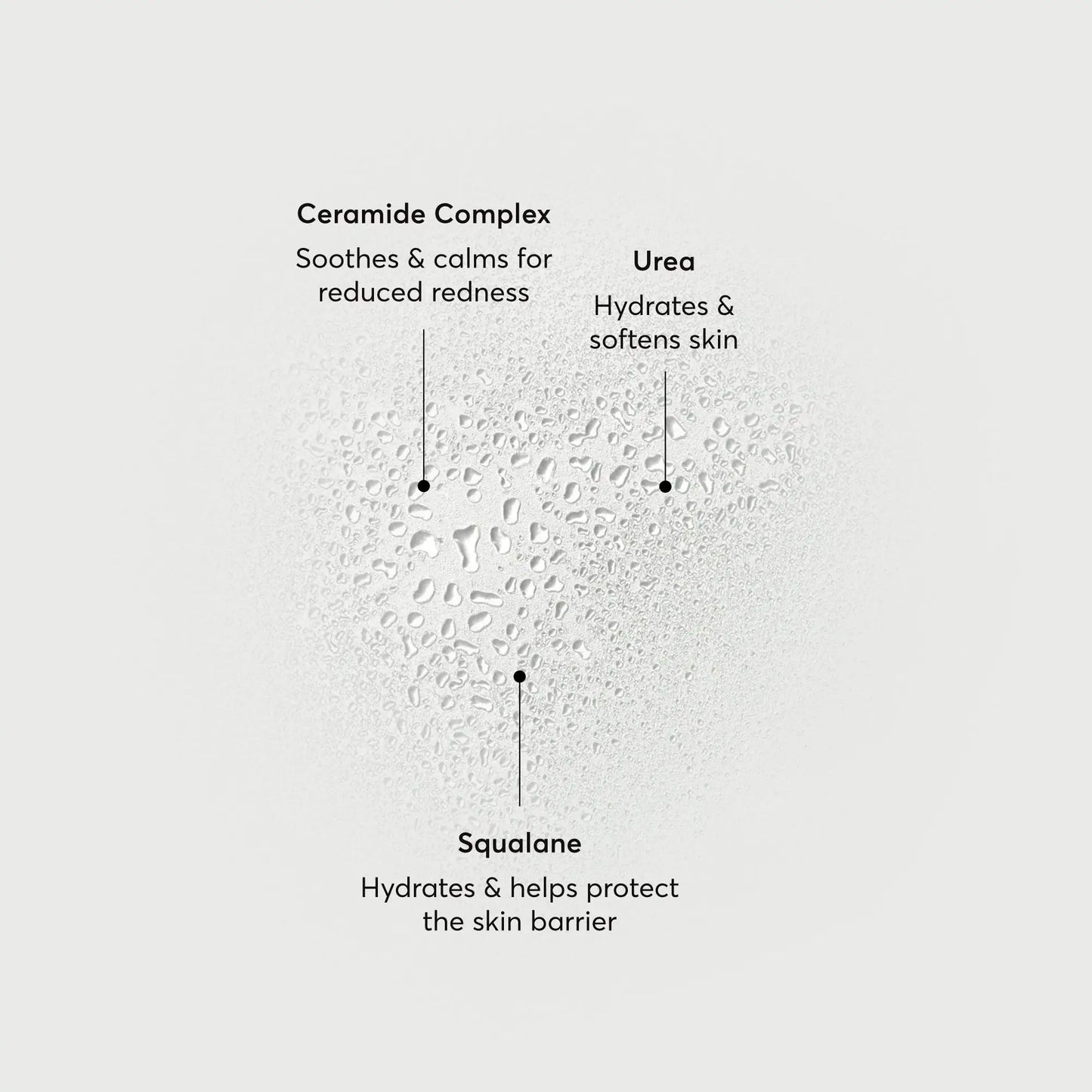 barrier-bounce-bi-phase-mist-p2 NATR-10167-Alt-Images-Barrier-Bounce-Bi-Phase-Toner-Mist_01.webp