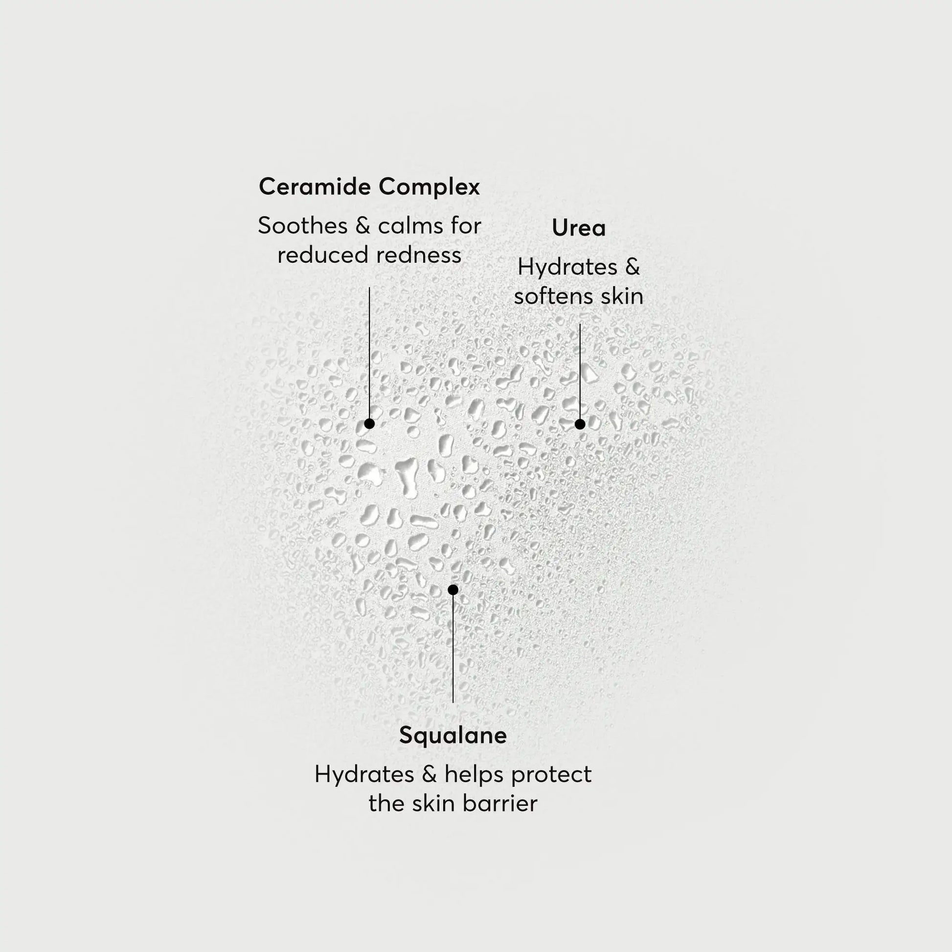 barrier-bounce-bi-phase-mist-p2 NATR-10167-Alt-Images-Barrier-Bounce-Bi-Phase-Toner-Mist_01.webp