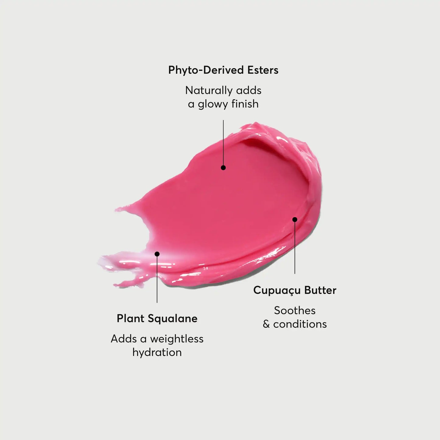 phyto-glow-lip-balm-camellia-g6 NATR-60075-Alt-Images-Phyto-Glow-Lip-Balm-Camellia-01.webp